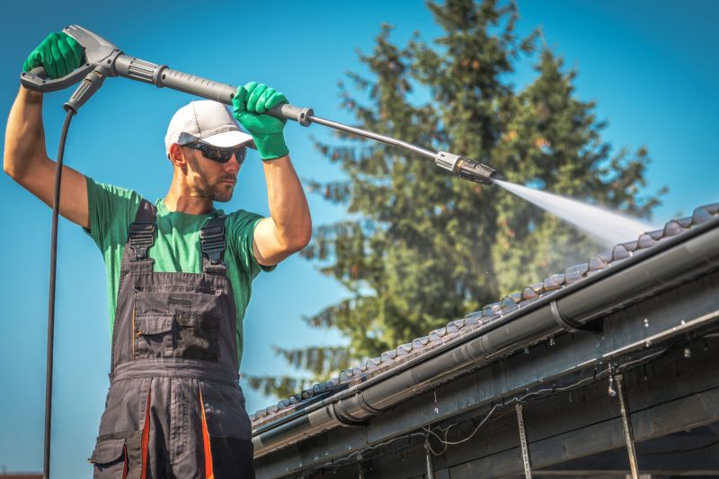 Professional Gutter Service in Spring
